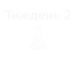 Frame 359242